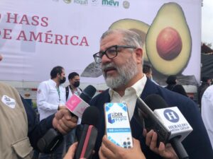 Espera Jalisco aumentar producción y certificación de las 350 mil toneladas de aguacate que cultiva al año - ZMG Noticias