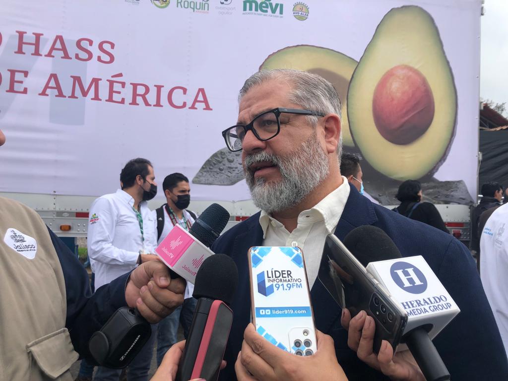 Espera Jalisco aumentar producción y certificación de las 350 mil toneladas de aguacate que cultiva al año - ZMG Noticias