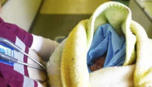 Bebé de tan solo horas de nacido fue encontrado en una bolsa en la CdMx - ZMG Noticias