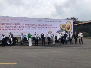 Sale rumbo a Estados Unidos primer cargamento de aguacate jalisciense de exportación - ZMG Noticias