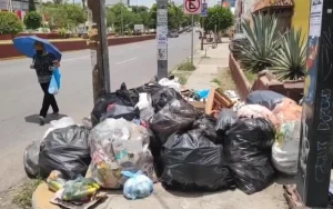 Montones de basura invaden la ciudad de Oaxaca a 5 días de la Guelaguetza - ZMG Noticias