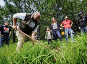 Reforestación en Jalisco: se plantarán 78 mil árboles en todo el estado - ZMG Noticias