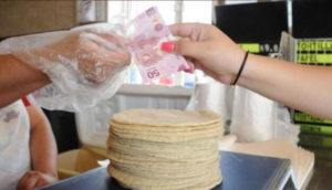 Pide Profeco reportar los establecimientos que vendan el kilo de tortilla a 25 pesos - ZMG Noticias