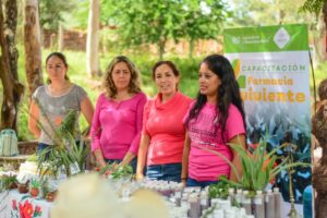 Farmacias vivientes, un programa para aprovechar los beneficios de las plantas medicinales - ZMG Noticias