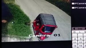 Abandonan a perrita y la graban cámaras de seguridad - ZMG Noticias