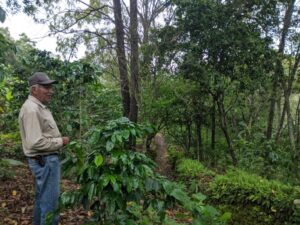 Productores de café de Jalisco apuestan por cultivos sustentables - ZMG Noticias