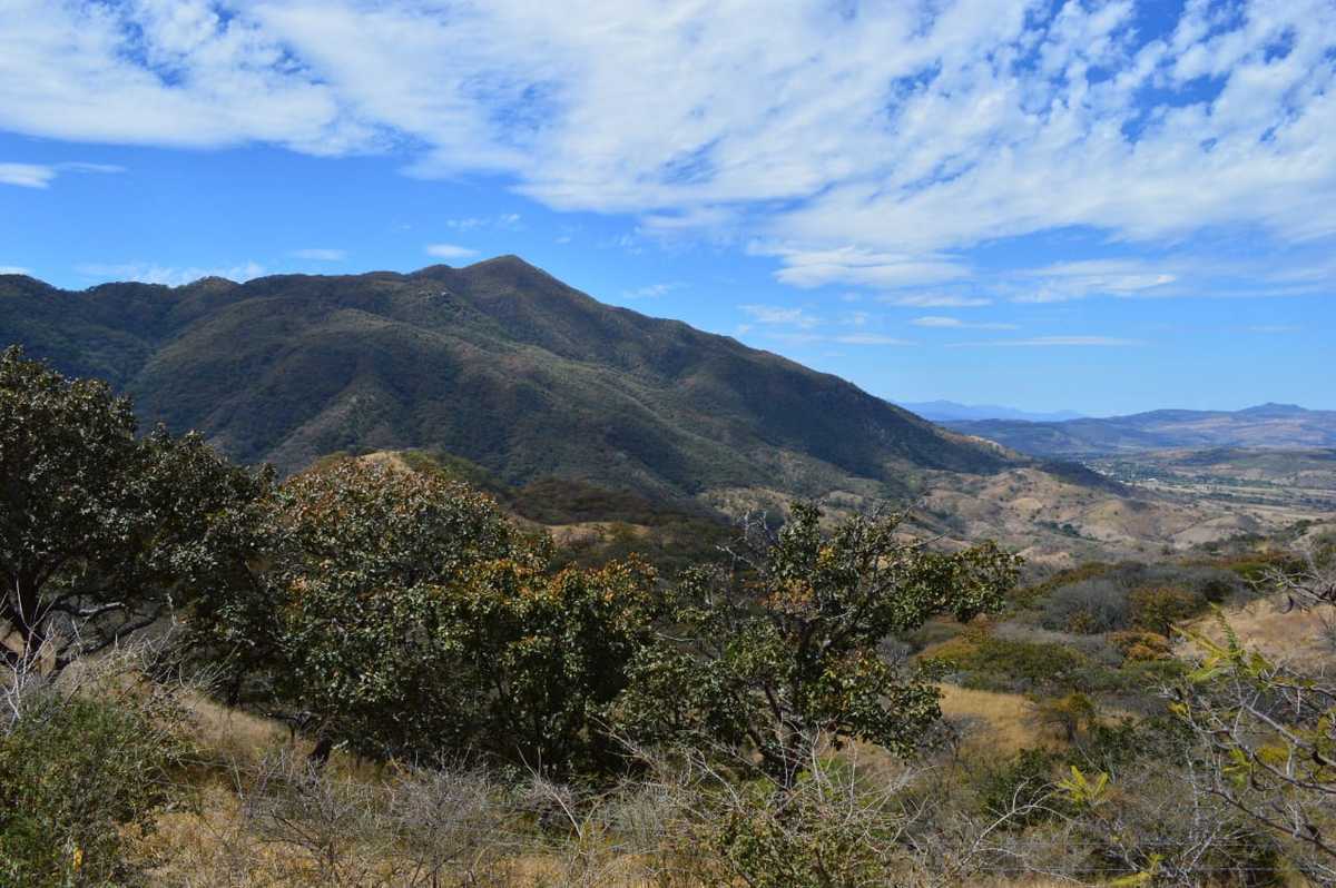 Capturan a probable responsable de ecocidio en la Sierra del Águila - ZMG Noticias Capturan a probable responsable de ecocidio en la Sierra del Águila - ZMG Noticias
