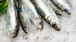 ¿Qué pescados son dañinos para la salud?