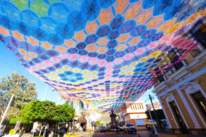 Confirman ganadores del Premio Jalisco 2022 - ZMG Noticias