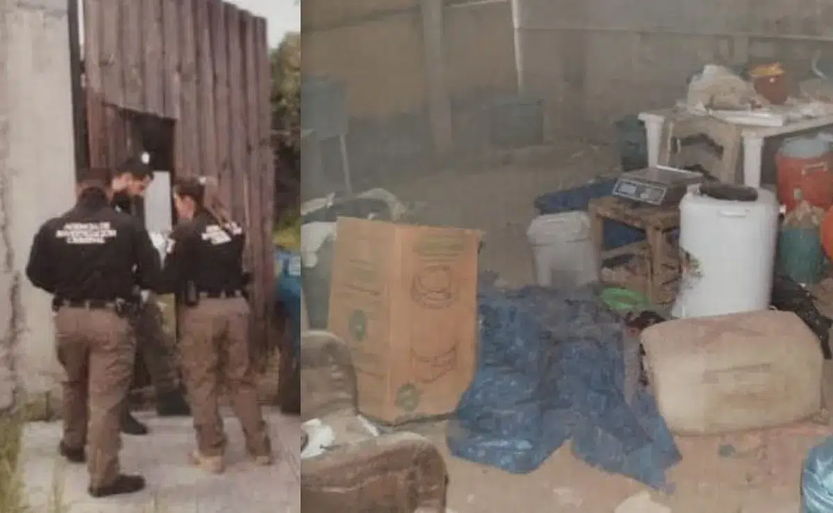 FGR catea y asegura finca con sustancias tóxicas en Tlajomulco - ZMG Noticias