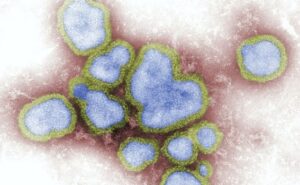 Advierten de mortal cepa H3N2 de influenza, hay que vacunarse