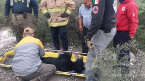 Rescatan oso atropellado en Nuevo León (video)