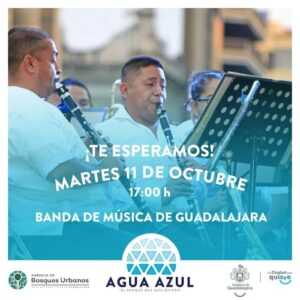 Concierto grautito al aire libre en el Agua Azul