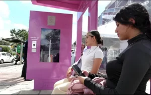 ¿Cómo funciona la zona Pulso de Vida?