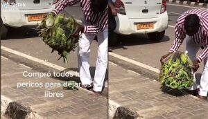 ¡Y todos a volar! (video) - ZMG Noticias