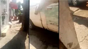 «Lo están levantando» en balacera de Esteban Alatorre (video)