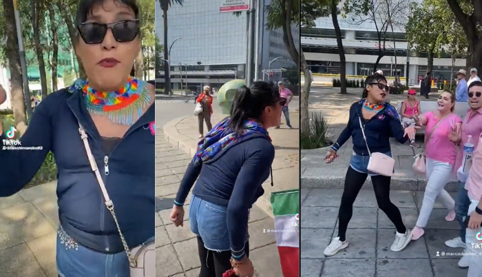 "Bola de nacos y muertos de hambre": diputada de Morena a manifestantes a favor del INE - ZMG Noticias