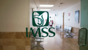 Ya pueden afiliarse al IMSS  trabajadores independientes
