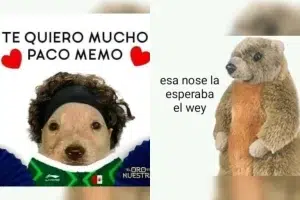 Estos son los mejores memes de la atajada de "San Memo Ochoa" - ZMG Noticias