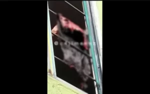 Hombre de CDMX mata y desolla perro