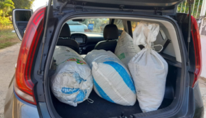 Aseguran cargadores, cartuchos y droga en Tomatlán, Jalisco - ZMG Noticias