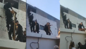 Policías rescatan a 10 perritos de voraz incendio en Edomex