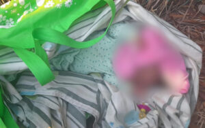 Localizan a bebé desaparecida hace días en Veracruz - ZMG Noticias