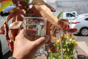 Recomienda Secretaría de Salud mantenerse hidratado correctamente durante fiestas decembrinas - ZMG Noticias