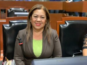 Solicitan donación de libros para abrir biblioteca en Villa Corona - ZMG Noticias