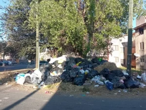 A falta de recolección de basura, habitantes de Tonalá la dejan en áreas públicas - ZMG Noticias