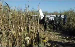 Avioneta con droga proveniente de Puerto Vallarta es asegurada en Mazatlán