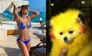 Acusan de crueldad animal a Ninel Conde