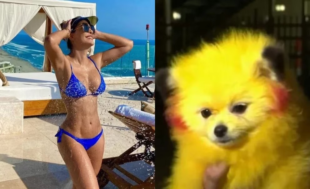 Acusan de crueldad animal a Ninel Conde