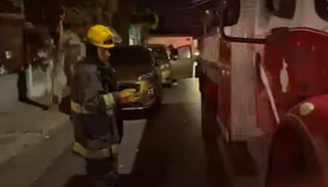 Encuentran cría de pitón en la cochera - ZMG Noticias