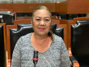 Propone diputada de Morena Leticia Pérez, talleres y capacitaciones financieras para enfrentar la cuesta de enero - ZMG Noticias