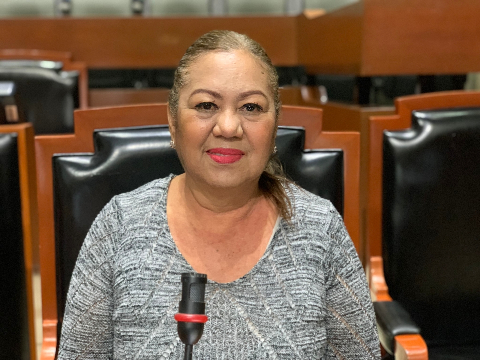 Propone diputada de Morena Leticia Pérez, talleres y capacitaciones financieras para enfrentar la cuesta de enero - ZMG Noticias