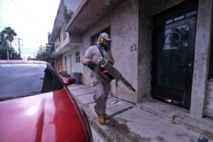 Casos de dengue siguen en aumento, ya suman 236 en Jalisco - ZMG Noticias