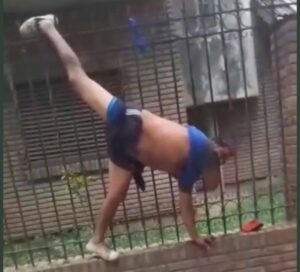 Por meterse a robar en una casa, se atora en la reja