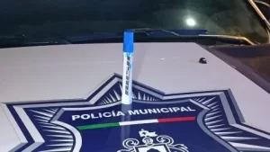 Grafitean las recién instaladas esculturas de "Timo" - ZMG Noticias