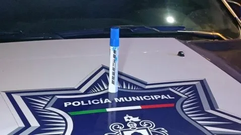 Grafitean las recién instaladas esculturas de "Timo" - ZMG Noticias