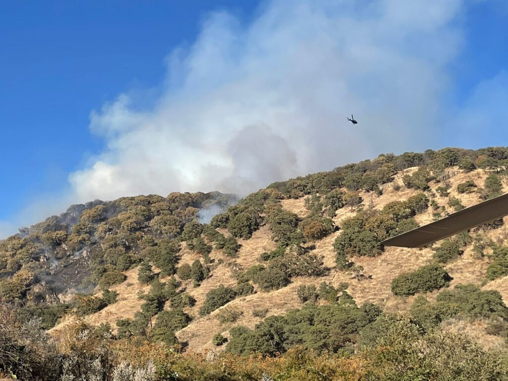 Incendio forestal en el paraje "Los Volcanes" - ZMG Noticias