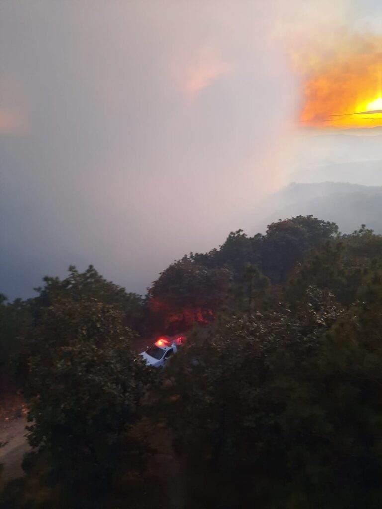 150 brigadistas trabajan arduamente para combatir incendio en La Primavera - ZMG Noticias