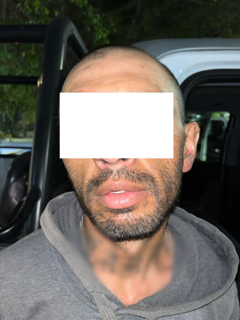 Operativo Puma deja un detenido y un revólver asegurado - ZMG Noticias