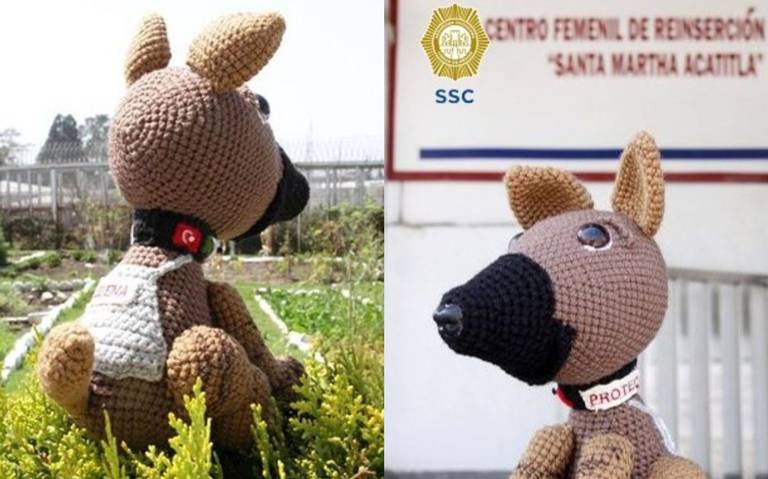 Reclusas tejen figura de Proteo en honor al lomito rescatista - ZMG Noticias Reclusas de Santa Martha tejen peluche en honor a Proteo, el perrito rescatista
