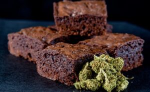 Jóvenes intoxican con brownie de marihuana en Aguascalientes. - ZMG Noticias