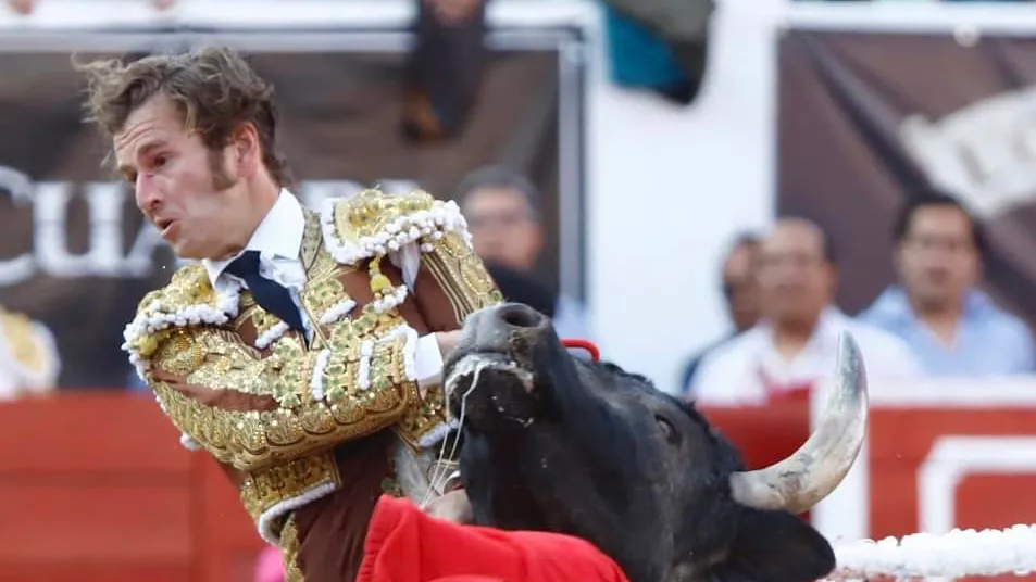Sufre tremenda cornada en el ojo el torero “El Payo” - ZMG Noticias Sufre cornada en el ojo "El Payo"