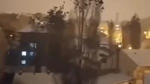 ¿Lo predijeron? Así reaccionaron unas aves momentos antes del sismo en Turquía