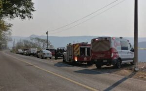 Hallan restos oseos en carretera a Saltillo - ZMG Noticias