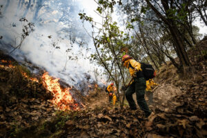 Detienen a presunto causante del incendio en el Cerro Viejo en Tlajomulco - ZMG Noticias