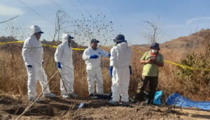 Gobierno de AMLO ha localizado casi tres mil fosas clandestinas en el país - ZMG Noticias